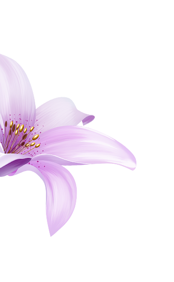 flowers 5616887 1.png