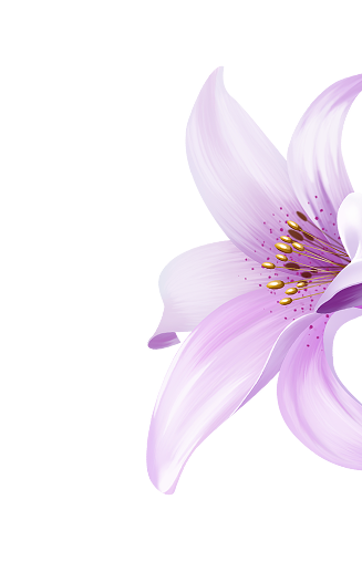 flowers 5616887 7.png